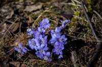 Annonserte dødsfall i april 2025