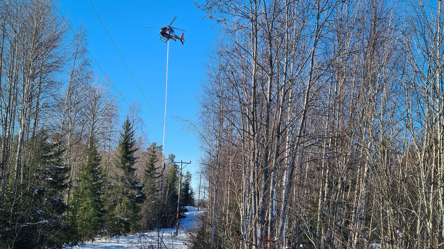 Bilde fra tidligere skogrydding. 