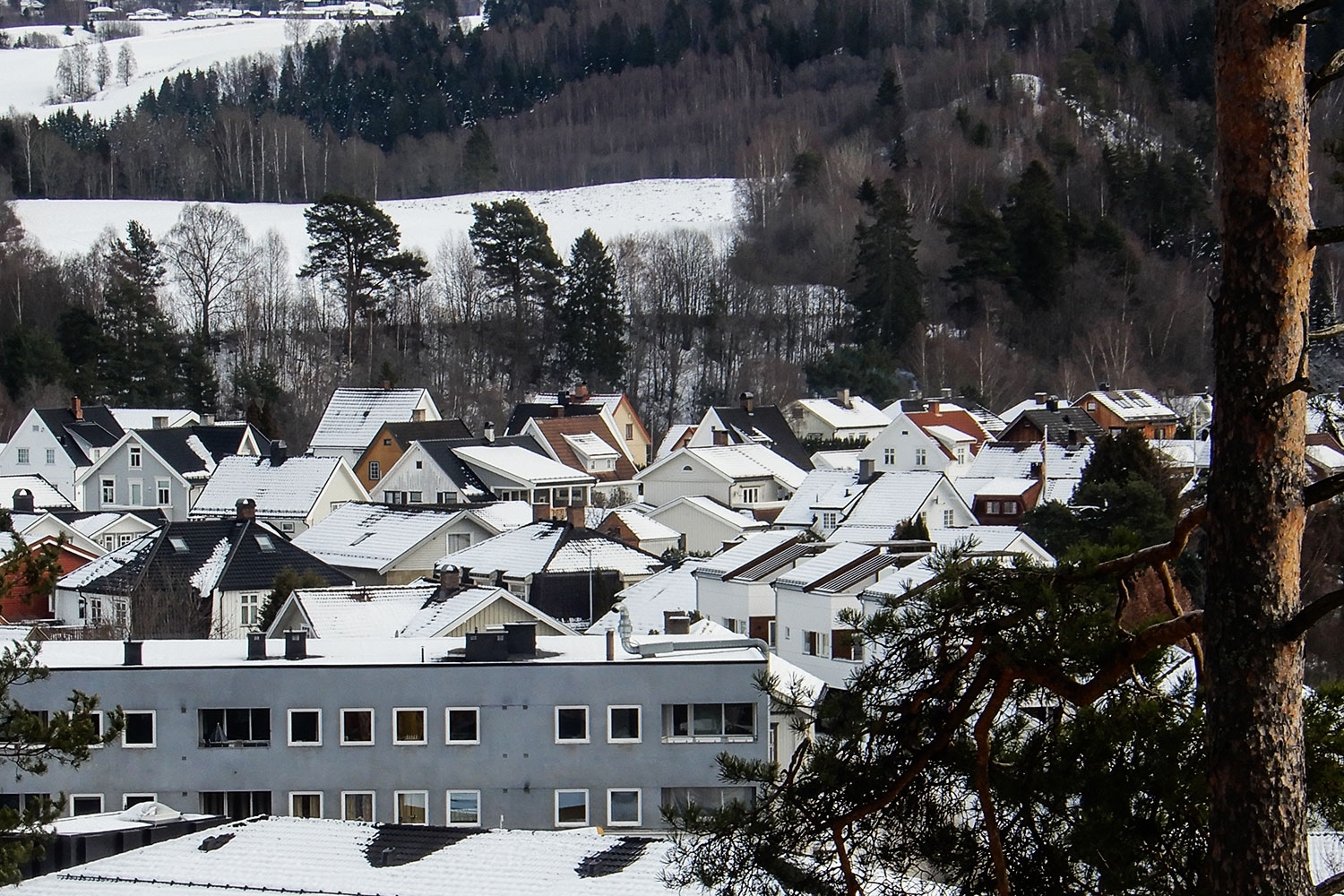 Omsetning av eiendommer i Ringerike kommune uke 50