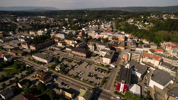 Det vokser i Ringerike