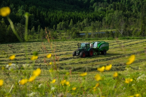 Norge får stadig færre og stadig større gårdsbruk.