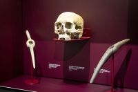 Dette er hodeskallen til det aller tidligste menneskefunnet i Norge, Søgnekvinnen, også kalt Sol. Hun levde for 9000 år siden I den nye utstillingen på Kulturhistorisk museum har man forsøkt å kaste lys over Sols hverdag og liv – i tillegg til to andre norske steinaldermennesker.